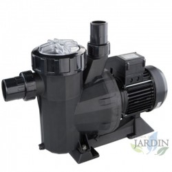 Victoria Plus 3/4 CV Einphasen-Lenzpumpe