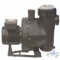 Self-priming pool pump, model to choose Self-priming pool pump, model to choose
