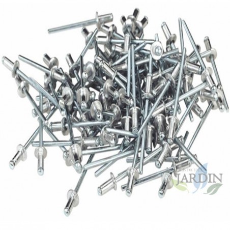 Ensemble de rivets aveugles en aluminium, pack de 500 rivets Alu/Acier, rivets à tête plate pour métal, 2 à 8mm