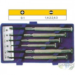 Tournevis de Précision Kit, Jeu de mini tournevis, Outillage Set Tournevis de Précision, Tournevis horloger Pour réparation lune