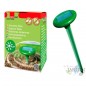 Repeller of rodents: moles, rats and mice Repeller of rodents: moles, rats and mice