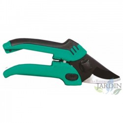 Manual pruning scissors, special flowers