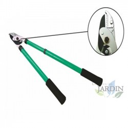 Zweihand-Teleskop-Astschere, mit Haken
