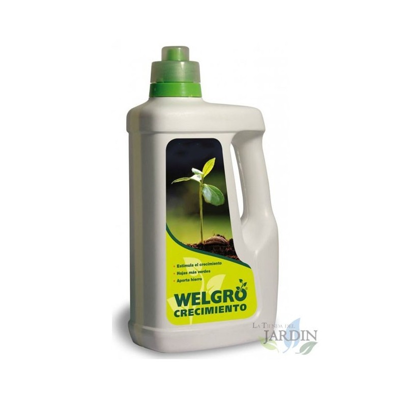 Fertilizzante per la crescita Welgro, 1 litro. Consigliato per la cannabis medicinale.