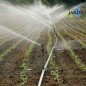 Aspersor de riego agrícola Circular 1/2''. 7-13 metros. Caudal 0,76 a 1,68 m3/hora Aspersor de riego agrícola Circular 1/2''. 7-13 metros. Caudal 0,76 a 1,68 m3/hora