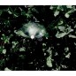 500 Stück 180º Micro-Diffusor zur Eckbewässerung. Funkreichweite 1 bis 1,5 Meter 500 Stück 180º Micro-Diffusor zur Eckbewässerung. Funkreichweite 1 bis 1,5 Meter