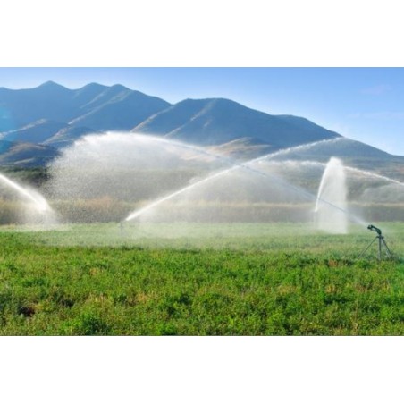 TOP Irrigation Cannon, 12 to 30 meters, adjustable from 0 to 360°. 1 1/2" thread. Agricultural sprinkler model for long ranges.