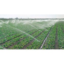 360º kreisförmiger landwirtschaftlicher Sprinkler 7-13 m. 1/2'' Gewinde. Inklusive Sprinklerhalterstativ aus Metall	