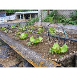 Pack 50 Estacas Jardín Riego por Goteo 2,6 Litros/Hora - Estacas para Riego Eficiente