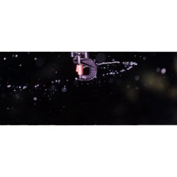 360° Inverted Dancer Micro Sprinkler for Garden and Orchard | Pack of 200 Spray Sprinklers | Radius up to 3.3 m