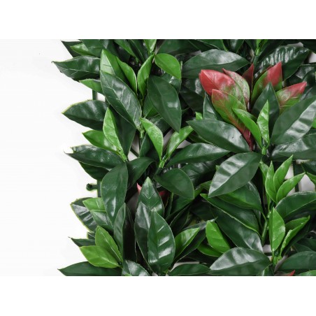 VERTIKALER GARTEN Liptus 100 x 100 cm. Passen sich jedem Raum an und schaffen Umgebungen von großer Originalität und Frische.