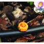 500 x Goutteur autorégulant 16 l/h, Goutteurs d'irrigation en ligne système micro, Goutteur pour arrosage agriole et jardinage