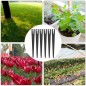 Set di 50 Supporto per microprovette 50 pezzi per provette da 3 a 7 mm Set di 50 Supporto per microprovette 50 pezzi per provette da 3 a 7 mm
