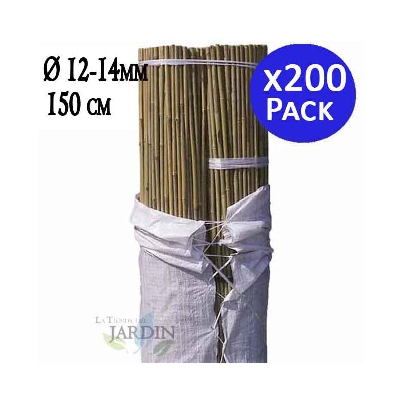 Pack 200 Tutores de bambu natural 150 cm, 12-14 mm. Varillas de bambu ecologicas para sujetar arboles, plantas y hortalizas