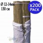 Pack 200 Tutores de bambu natural 150 cm, 12-14 mm. Varillas de bambu ecologicas para sujetar arboles, plantas y hortalizas