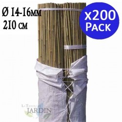 200 x Tuteur en Bambou 210 cm, 14-16 mm. Baguettes de bambou, canne de bambou écologique pour soutenir les arbres