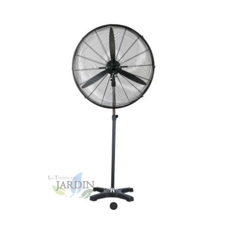 Ventilador de Pie 180W 3 Velocidades 66cm - Silencioso y Regulable en Altura