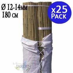 25 x Tuteur en Bambou 180 cm, 12-14 mm, Tubes en Bambou pour Plantes et Arbres, Baguettes de bambou, Canne de bambou, Tuteurs