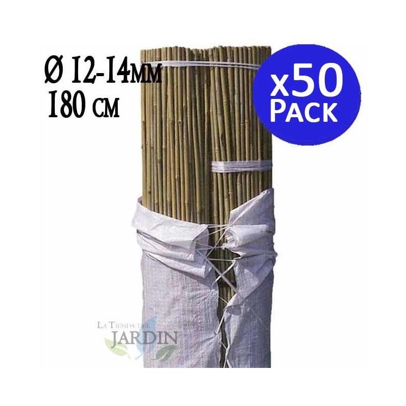 Pack 50 x Tutores de Bambú 180 cm, 12-14 mm. Varillas de bambú, caña bambú ecológica para sujetar árboles, plantas y hortalizas