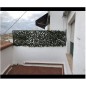 Celosia de mimbre extensible de hojas de arce. 1 x 2 metros
