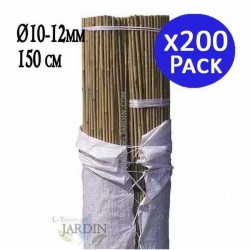 200 x Tuteur en Bambou 150 cm, 10-12 mm. Baguettes de bambou, canne de bambou écologique pour soutenir les arbres