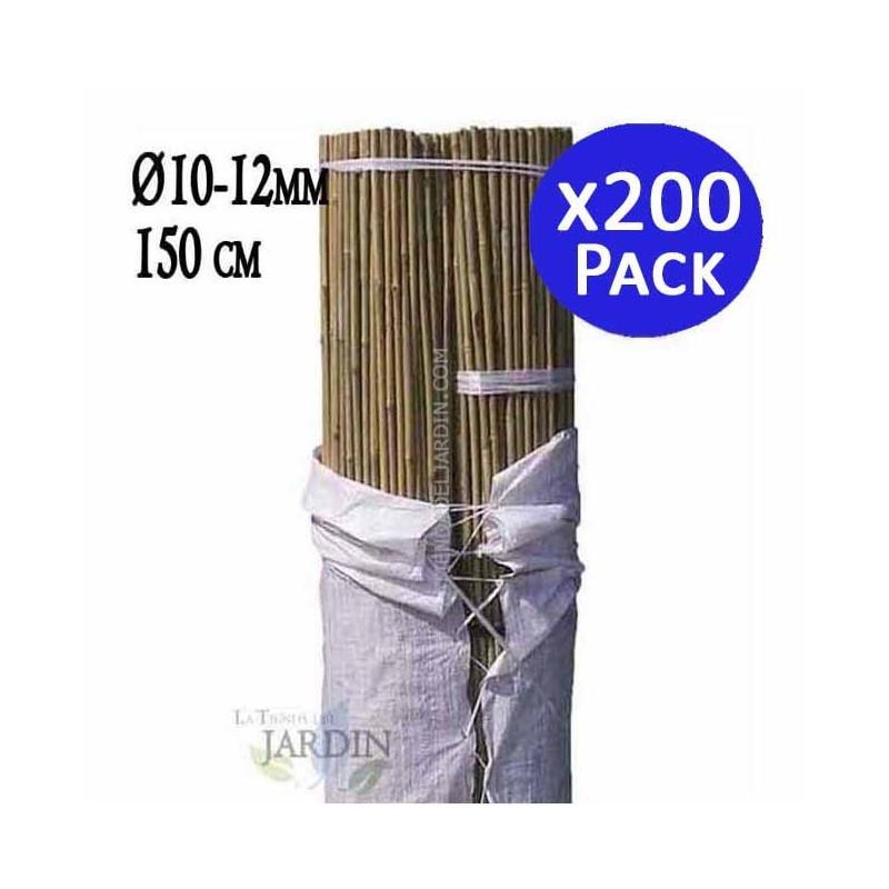 200 x Tuteur en Bambou 150 cm, 10-12 mm, Tubes en Bambou pour Plantes et Arbres, Baguettes de bambou, Canne de bambou, Tuteurs