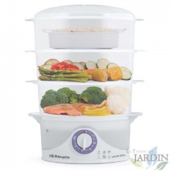  Cooker with 3 stackable containers and a special container for rice.  9 liter capacity.  Power 800W.