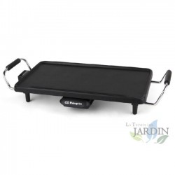 Grilling board. Adjustable thermostat. Grilling surface 220x430 mm. Non-stick coating. 2,000 watts.