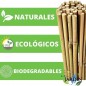 25 x Tutor de bambu natural 60 cm, 5-8 mm. Varillas de bambu ecologicas para sujetar arboles, plantas y hortalizas