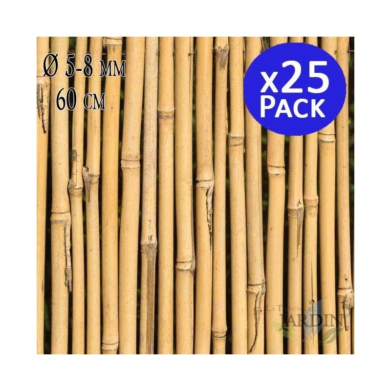 Pack 25 x Tutores  de Bambú 60 cm, 5-8 mm. Varillas de bambú ecológicas para sujetar árboles, plantas y hortalizas. 25 unidades