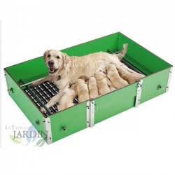 Cage de Parturition pour Chiens 122x77x35 cm. Fabriquées en matériaux antiseptiques, résistantes et confortables