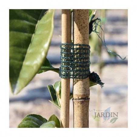 Lot de 500 Tuteur en Bambou 200 cm, 8-10 mm, Tubes en Bambou