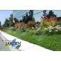 Pack 25 Boquilla ajustable tobera 10A Hunter, Alcance 3 m, Ángulo ajustable, Difusores de riego Pack 25 Boquilla ajustable tobera 10A Hunter, Alcance 3 m, Ángulo ajustable, Difusores de riego