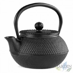 Teekanne aus Gusseisen mit traditionellem japanischen Tetsubin-Design. Fassungsvermögen 300 ml.