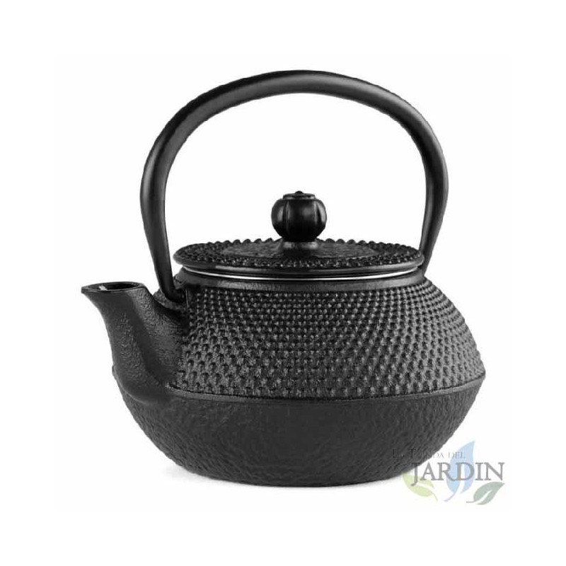 Cast iron teapot, with traditional Japanese Tetsubin design.  300 ml capacity.  Cast iron teapot, with traditional Japanese Tetsubin design.  300 ml capacity.