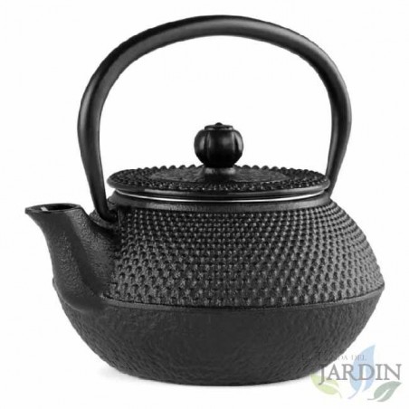 Teekanne aus Gusseisen mit traditionellem japanischen Tetsubin-Design. Fassungsvermögen 300 ml.
