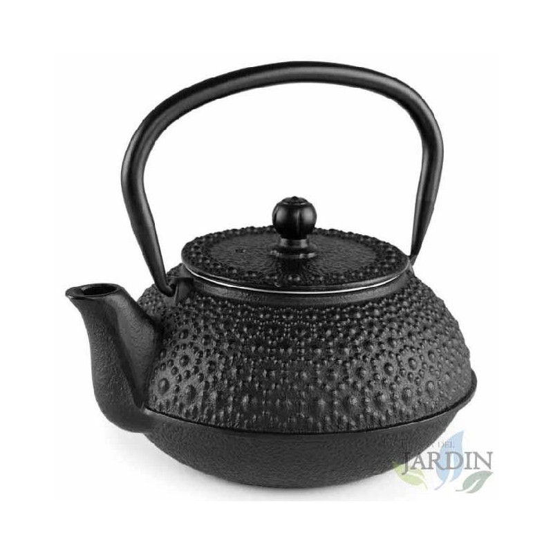 Cast iron teapot with traditional Japanese Tetsubin design. Capacity 500 ml.