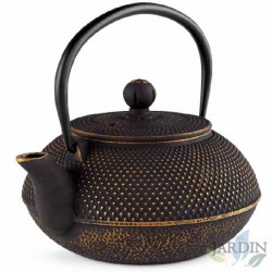 Cast iron teapot (brass-embossed exterior) with traditional Japanese Tetsubin design. 800 ml capacity.