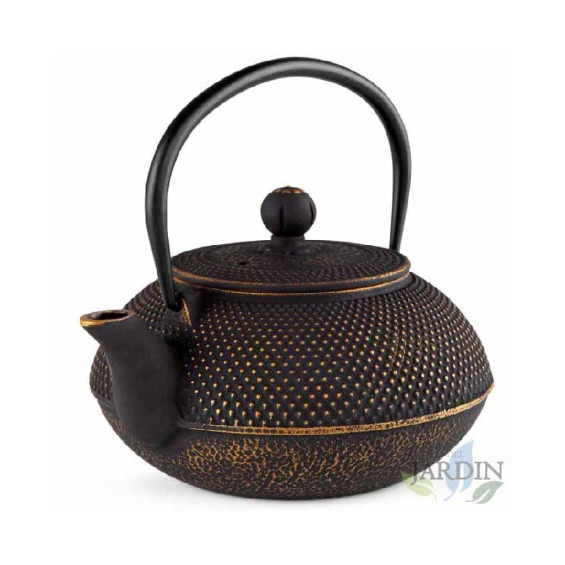 Bule de ferro fundido em latão antigo | Design Tetsubin japonês | Capacidade de 800 ml | Bule de chá tradicional | Vintage