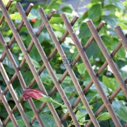 Treillis en osier de 100 x 200 cm, pour les plantes grimpantes. Utile pour les jardins, les clôtures, la décoration, le support