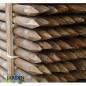 Pali tutori di legno da 200 cm, diametro 8 cm, palo di legno rotondo con punta, palizzata, Punto di fissaggio