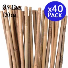 Pack 40 Tutor de Bambu 120 cm (10-12 mm) | Varillas de bambu para Plantas y Arboles | Tutores para Tomates y Plantas trepadoras