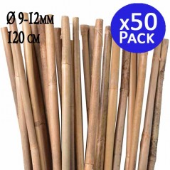Pack 50 Tutor de Bambu 120 cm (10-12 mm) | Varillas de bambu para Plantas y Arboles | Tutores para Tomates y Plantas trepadoras