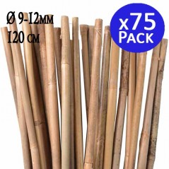75 x Tutor de bambú 120 cm, diámetro 9-12 mm. Varillas de bambú, varillas para plantas, color natural