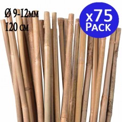 Pack 75 Tutor de Bambu 120 cm (10-12 mm) | Varillas de bambu para Plantas y Arboles | Tutores para Tomates y Plantas trepadoras