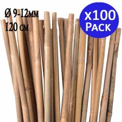 Pack 100 Tutor de Bambu 120 cm (10-12 mm) | Varillas de bambu para Plantas y Arboles | Tutores para Tomates y Plantas trepadoras