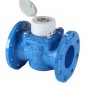 Contatore acqua fredda Woltman DN 100 - flangia 4  Contatore acqua fredda Woltman DN 100 - flangia 4