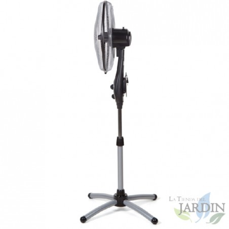 Ventilador de piso oscilante oval Orbegozo, 3 velocidades, temporizador | Ventilador de piso | Ar fresco