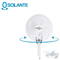 Ventilador de parede Orbegozo, 5 pás, 3 velocidades, cabeça inclinável, oscilante, 80 W | Ventilador de parede