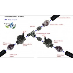 Set di 8 Elettrovalvola Toro per irrigazione 1'' 24V EZ Flo Plus per programmatori elettrico